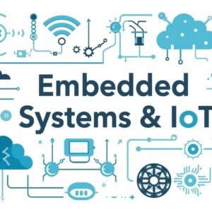 Embedded Systems & IoT​